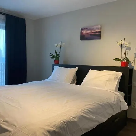 Homeawayfromhomeghent Apartment